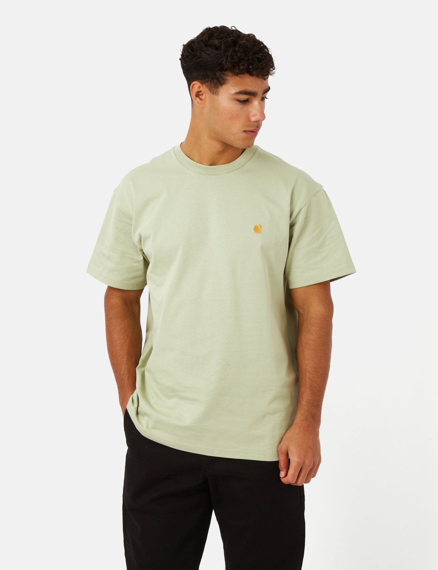 Chase T-Shirt (Loose) - Botanic Green