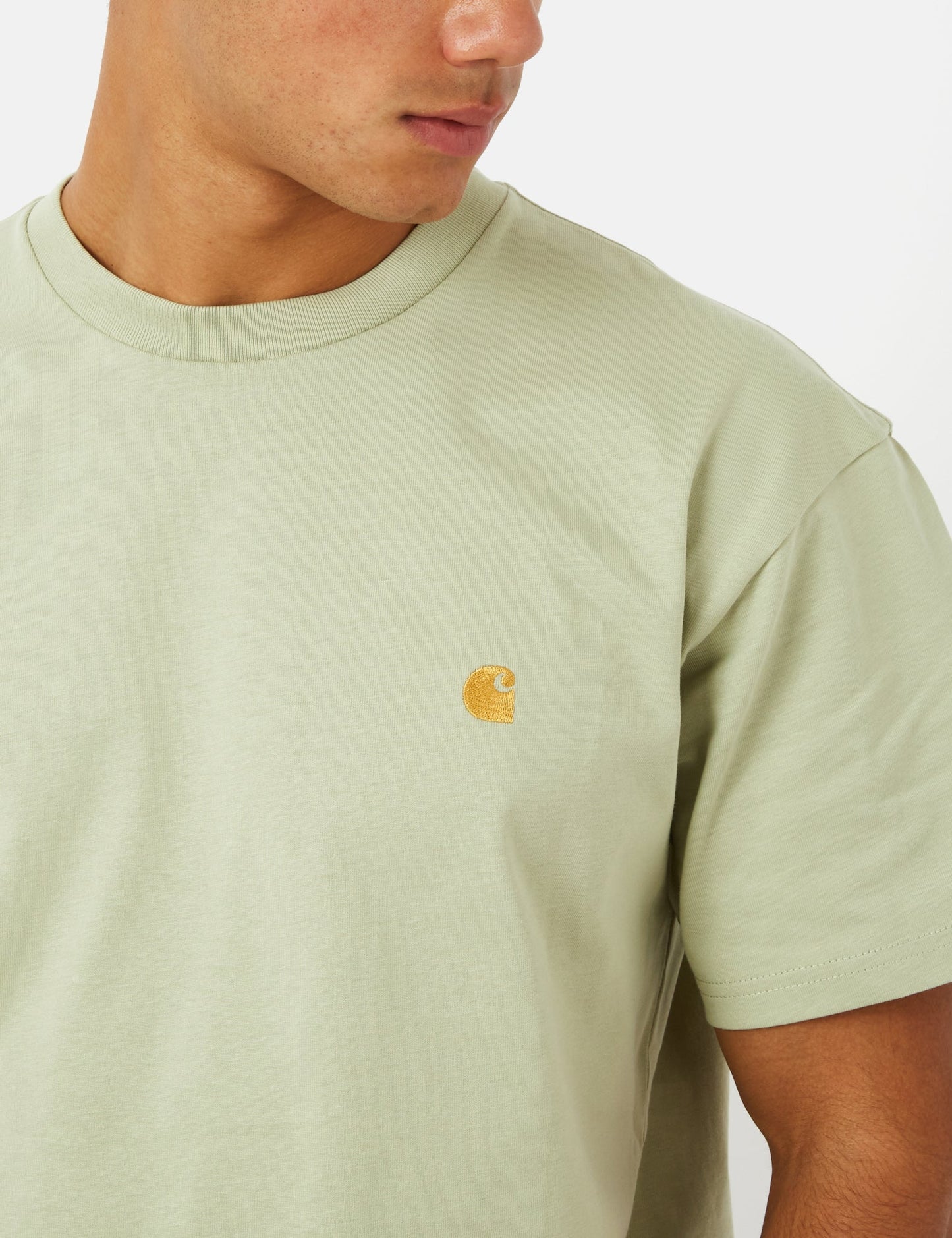 Chase T-Shirt (Loose) - Agave Green