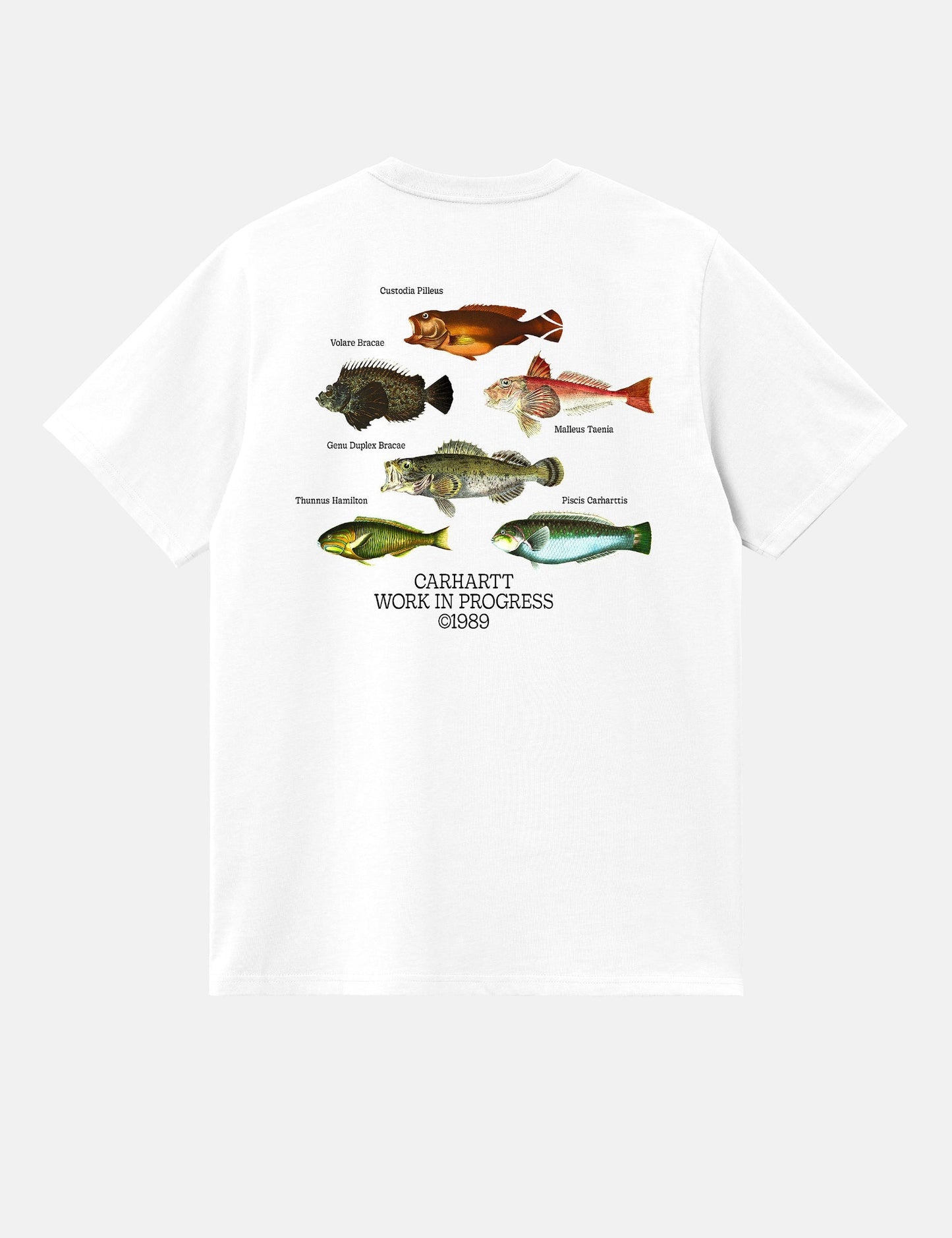 Fish T-Shirt (Loose) - White